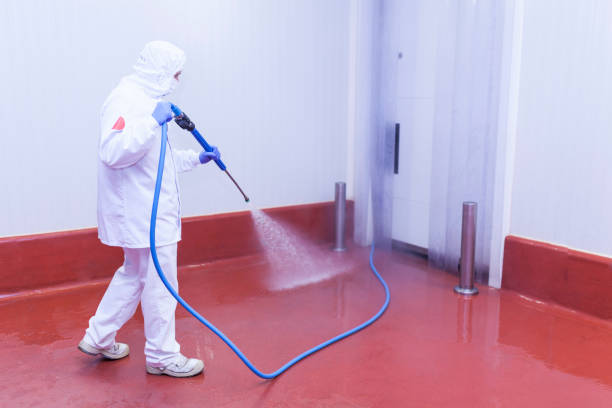 Best Restaurant Pressure Washing  in Woodruff, SC